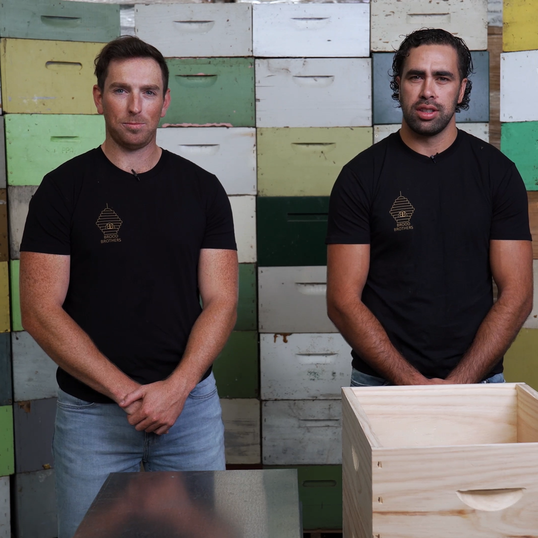 Brood Brothers Introduction into Beekeeping 101 - Brood Brothers